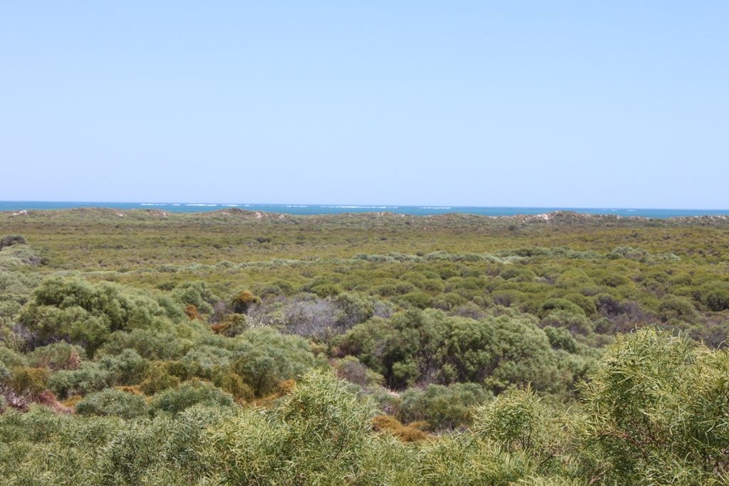 Lot 138 Marine Drive, JURIEN BAY, WA 6516