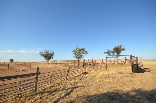 Everard via, BLYTH, SA 5462