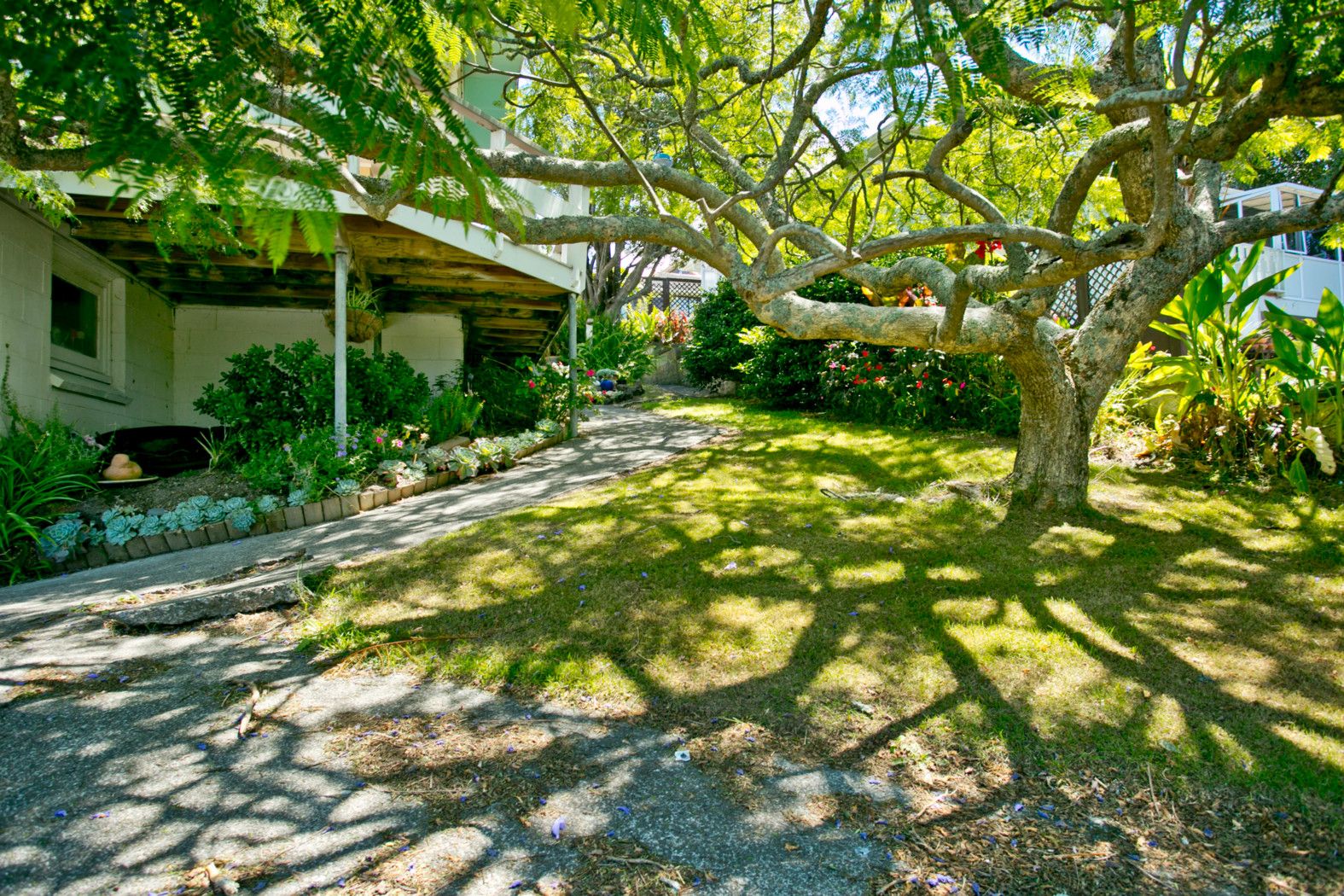 36 Woodside Avenue, NORTHCOTE, North Shore City