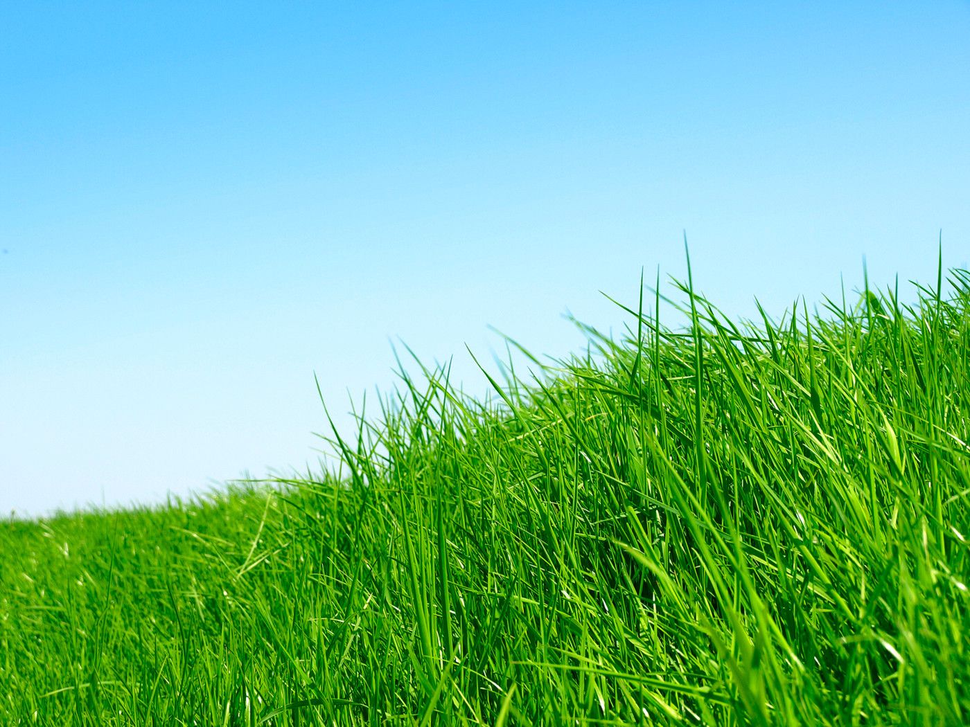 Lot 45, 240 Sturges Road, Henderson, Waitakere City
