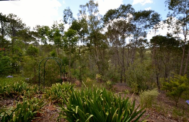 413 Connection Road, MOOLOOLAH VALLEY, QLD 4553