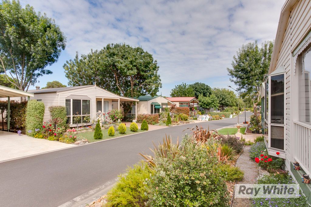165/98 Bungower Road, MORNINGTON, VIC Home For Sale • Ray White