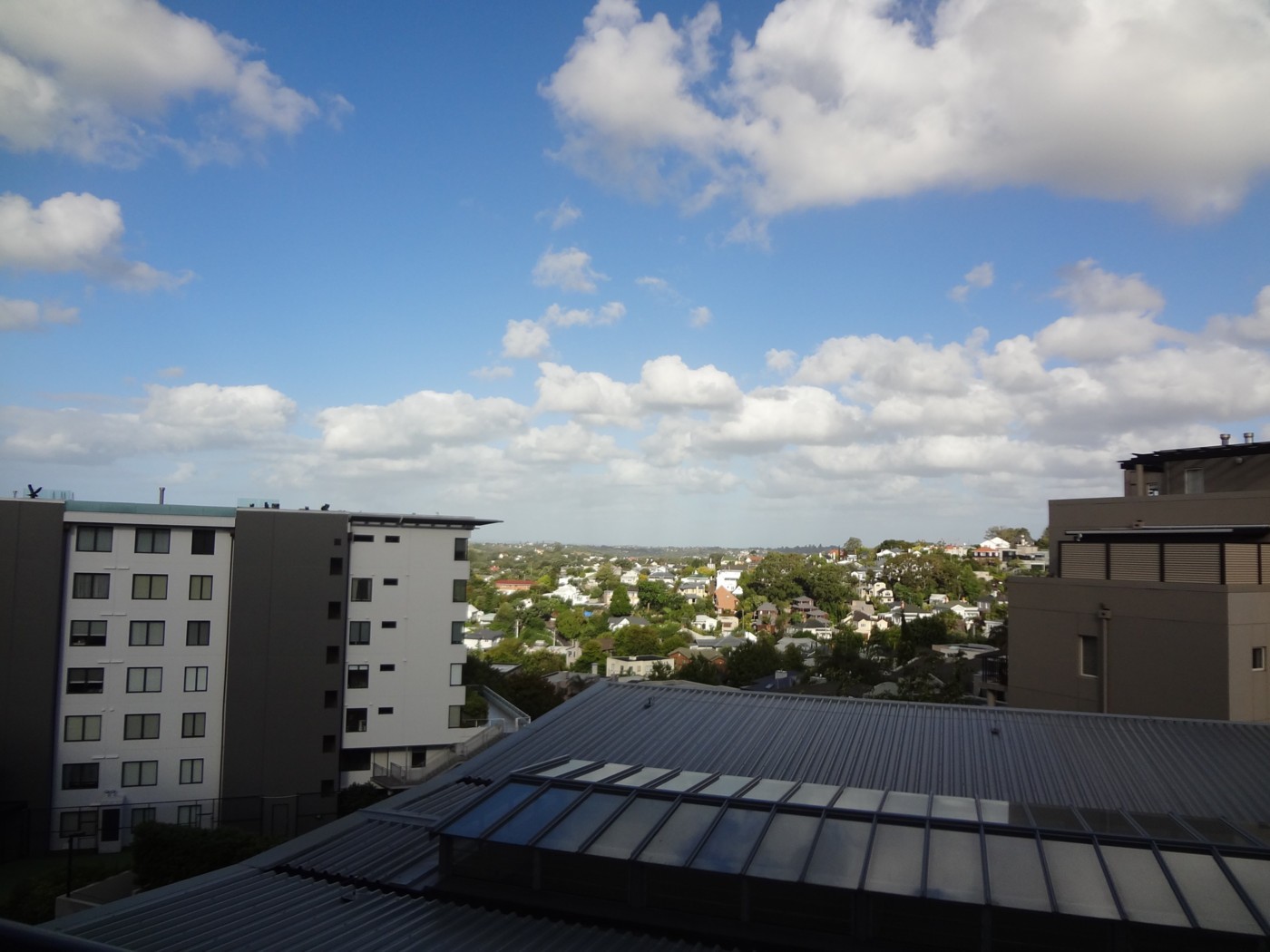 NEWMARKET, Auckland City
