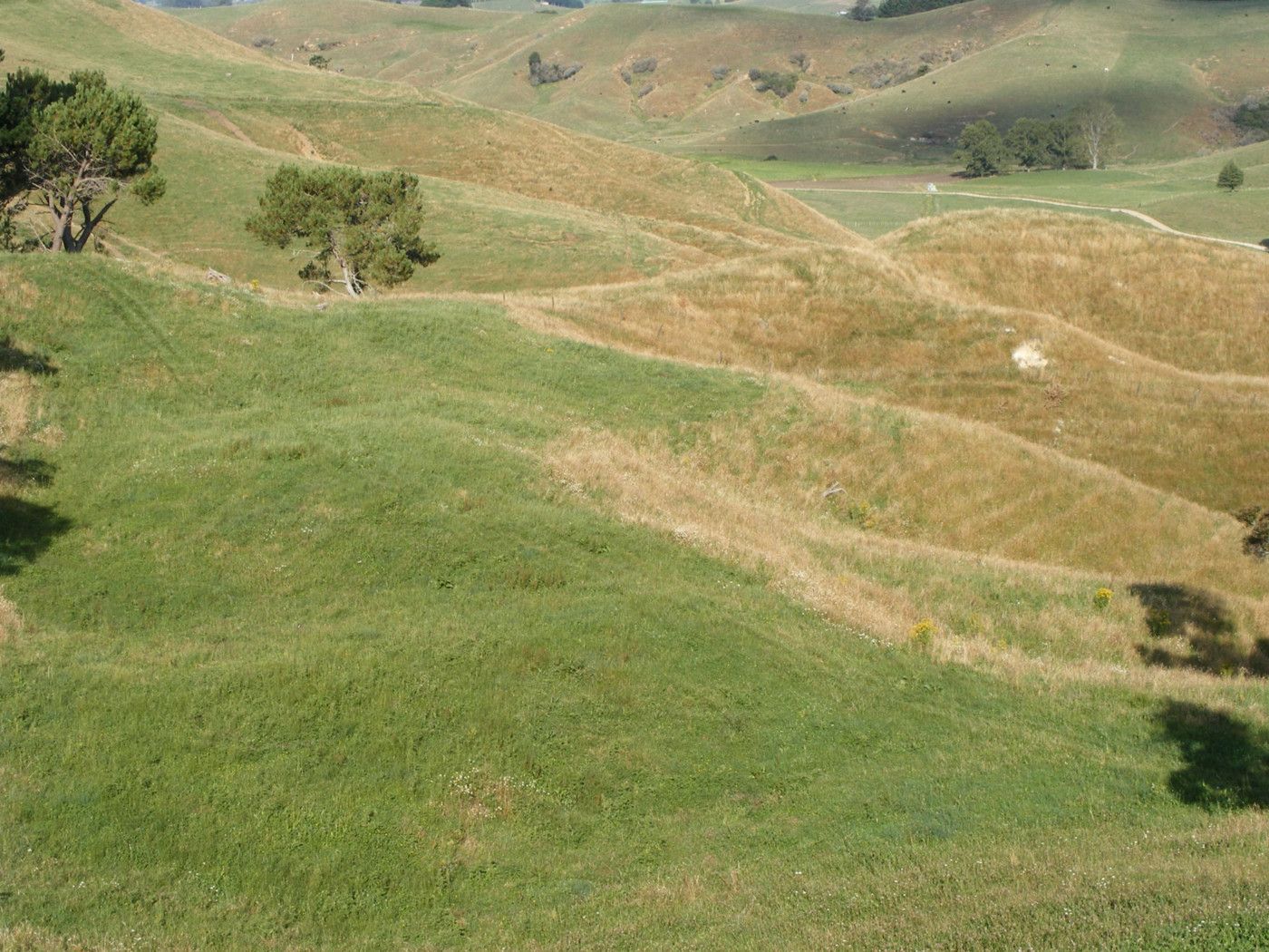 321 Mangamahoe Road, OTOROHANGA, Otorohanga District