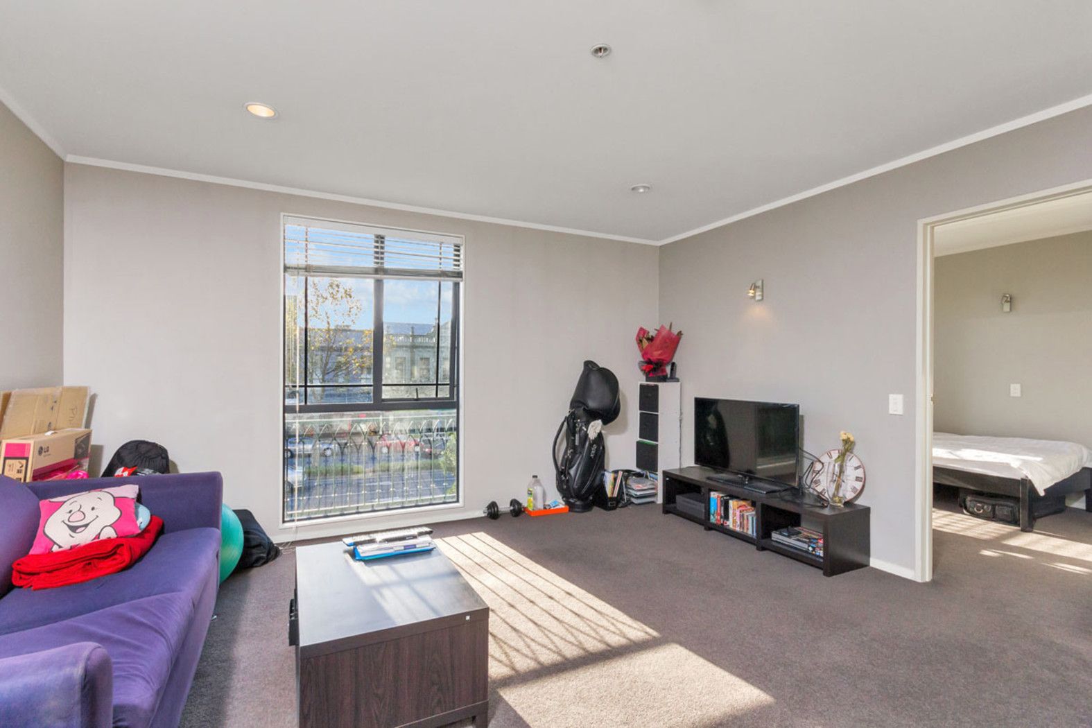 AUCKLAND CENTRAL, Auckland City