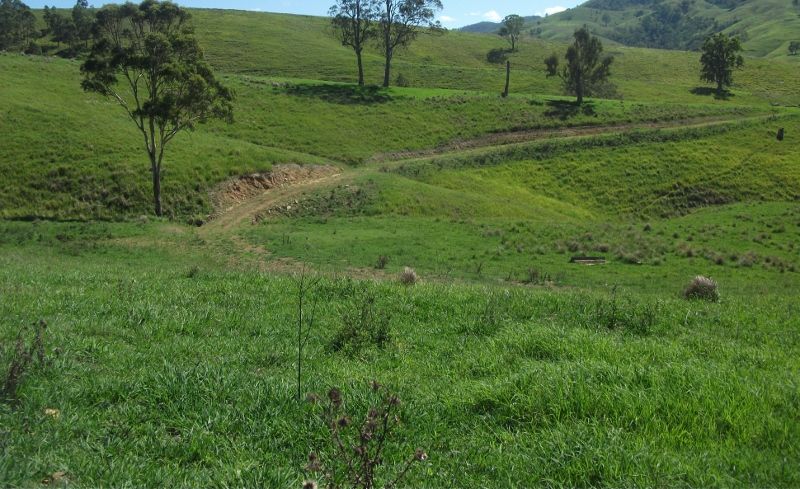 2128 Paterson River Road, GRESFORD, NSW 2311