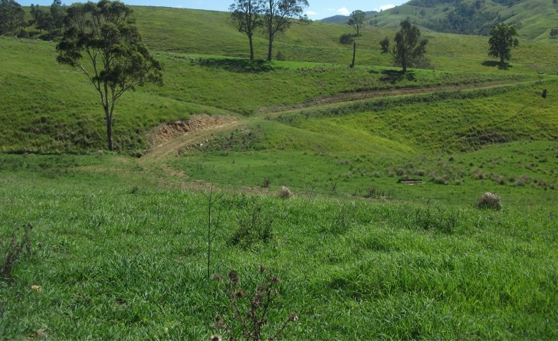 2128 Paterson River Road, GRESFORD, NSW 2311