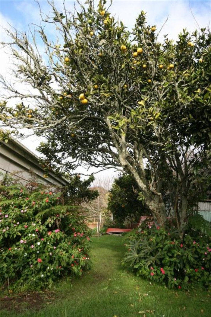 3/17 Cliff Street, RAGLAN, Waikato District