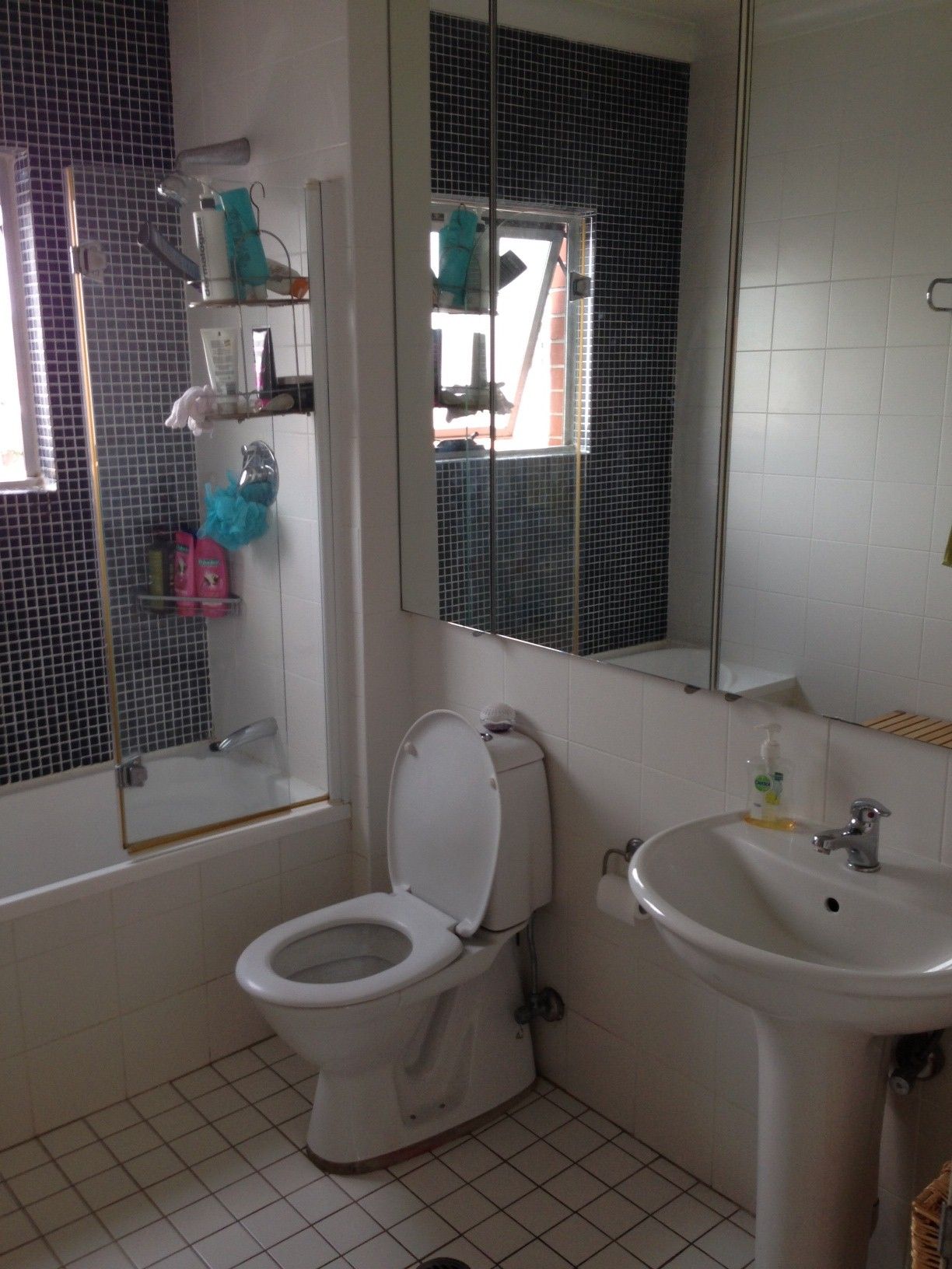 21/1 Shirley Street, ALEXANDRIA, NSW 2015
