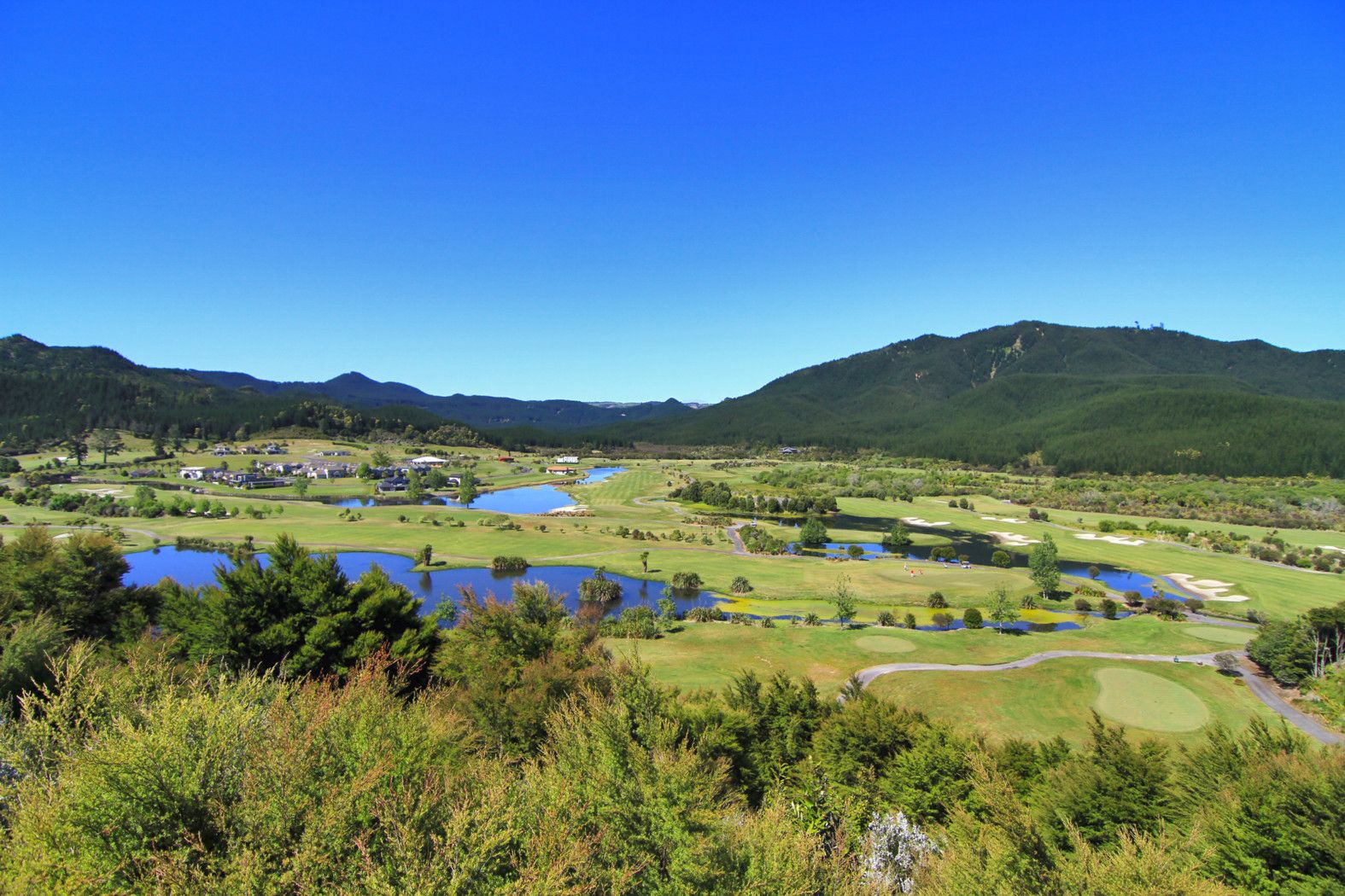 55 Pinehurst Drive, Pauanui, Thames Coromandel District