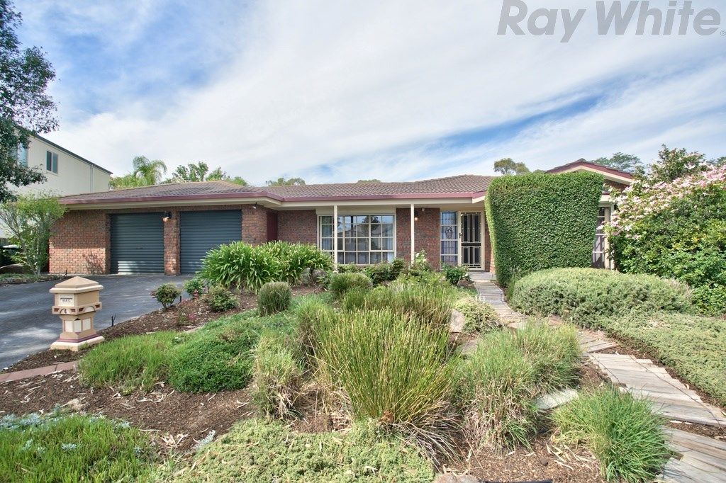 4 Shah Court, FLAGSTAFF HILL, SA 5159