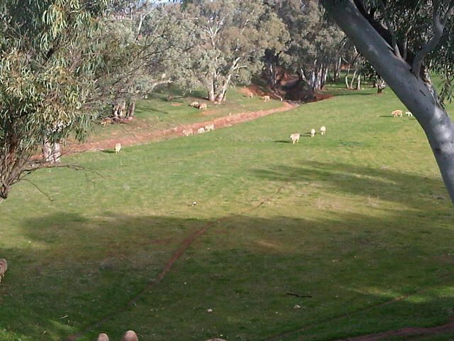 Tarcowie Road, JAMESTOWN, SA 5491