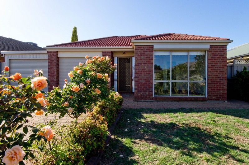 34 Parkway Circuit, PARAFIELD GARDENS SA 5107
