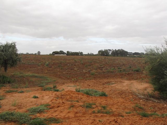 534 and 535 Gordon, Barmera, SA 5345