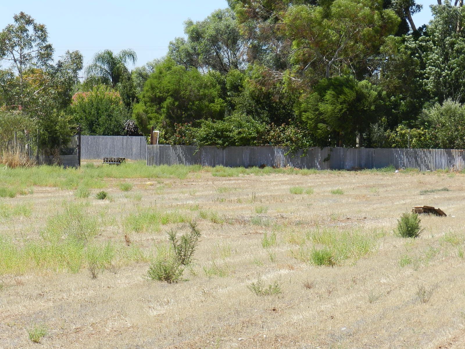Lot 10 and 12 Rupert Court, LYRUP, SA 5343