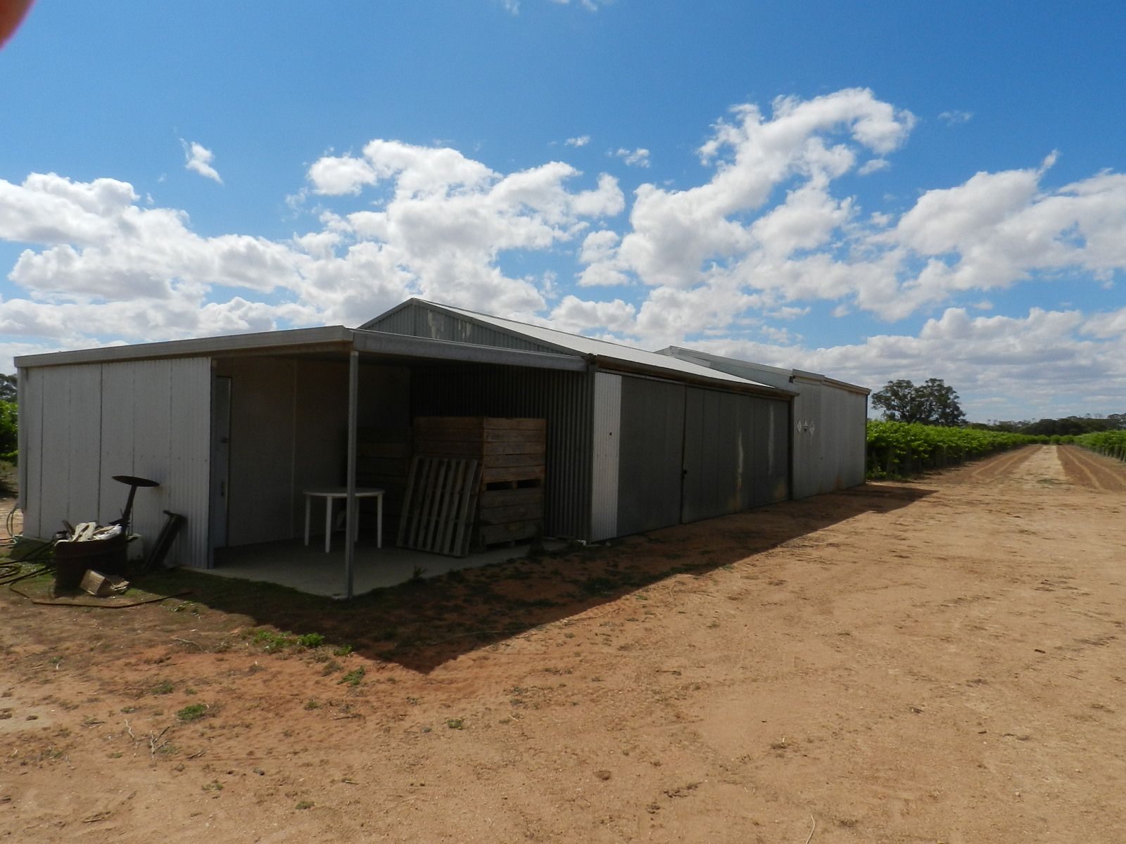 57 and 58 Schell Road, Cobdogla, SA 5346