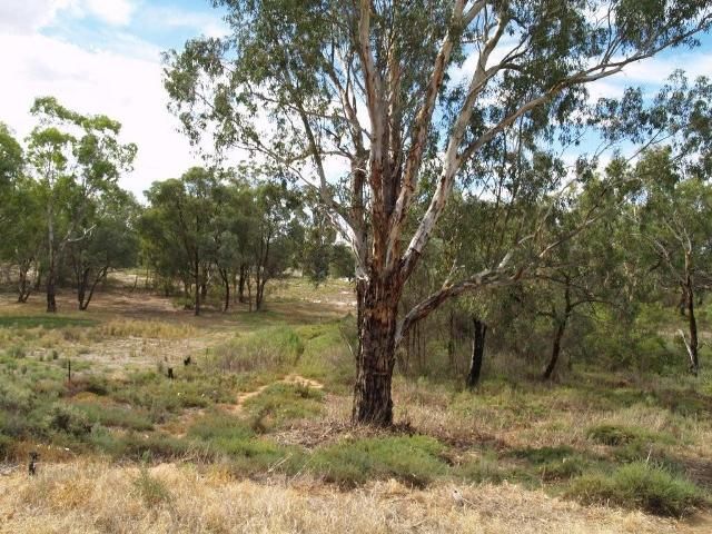 Sec 158 River Terrace, CADELL, SA 5321