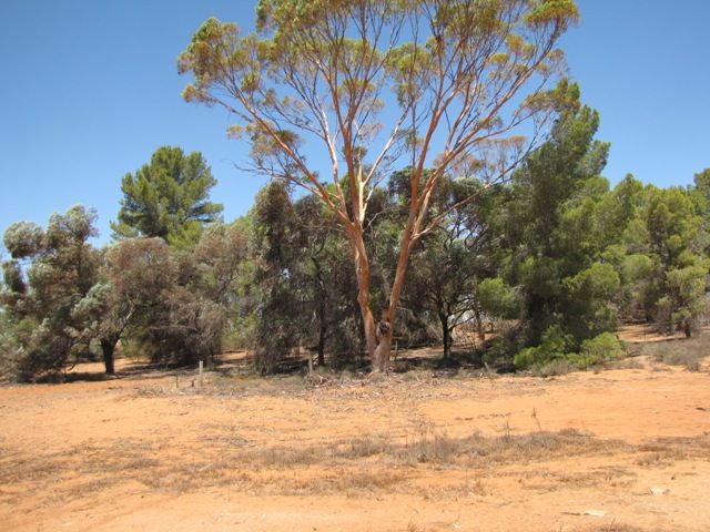 432 Anderson Road, Loxton North, SA 5333