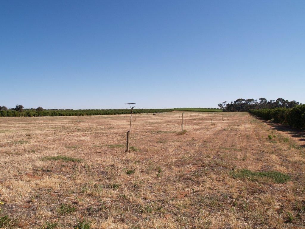 Lot 20 Playford Road, Waikerie, SA 5330