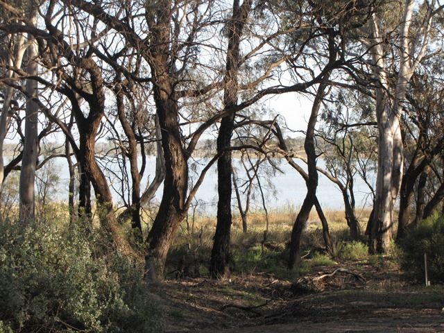 Sec 383 Thiele Road, LOVEDAY, SA 5345