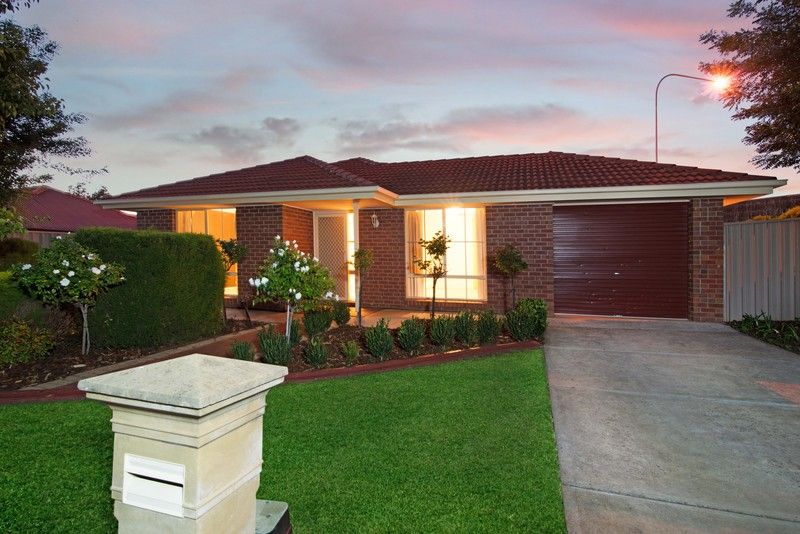 11 Yellow Wood Court, GREENWITH SA 5125