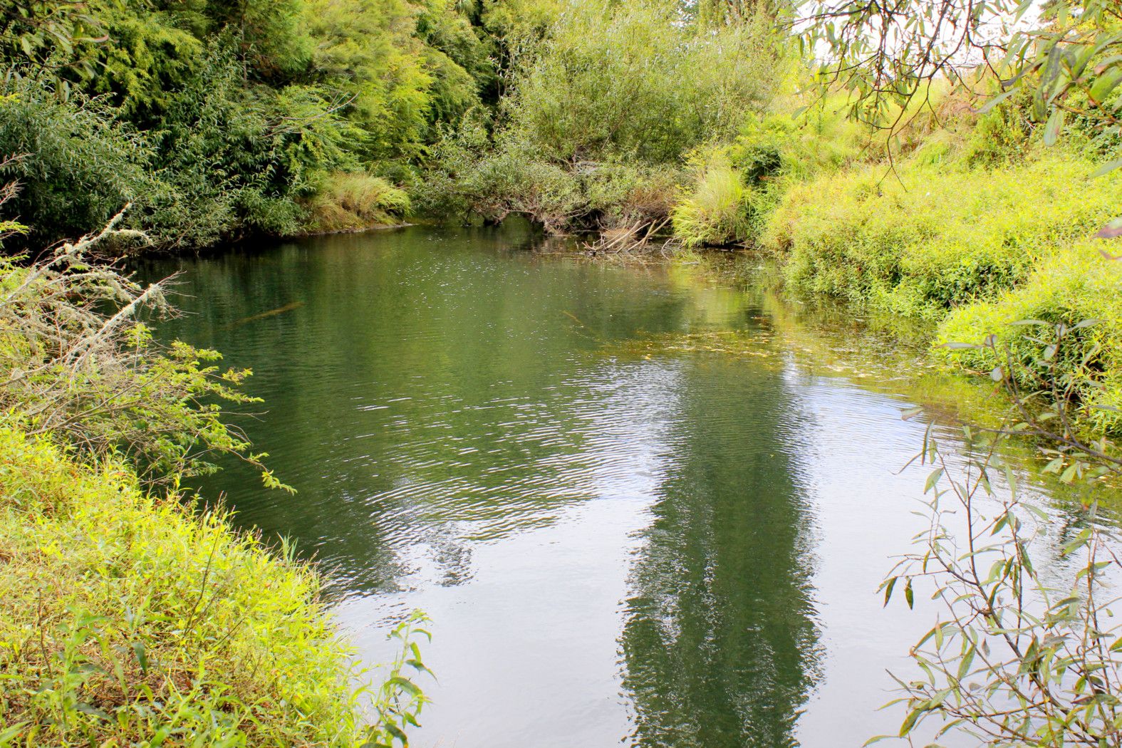 393 Ruaroa Road, KAITAIA, Far North District