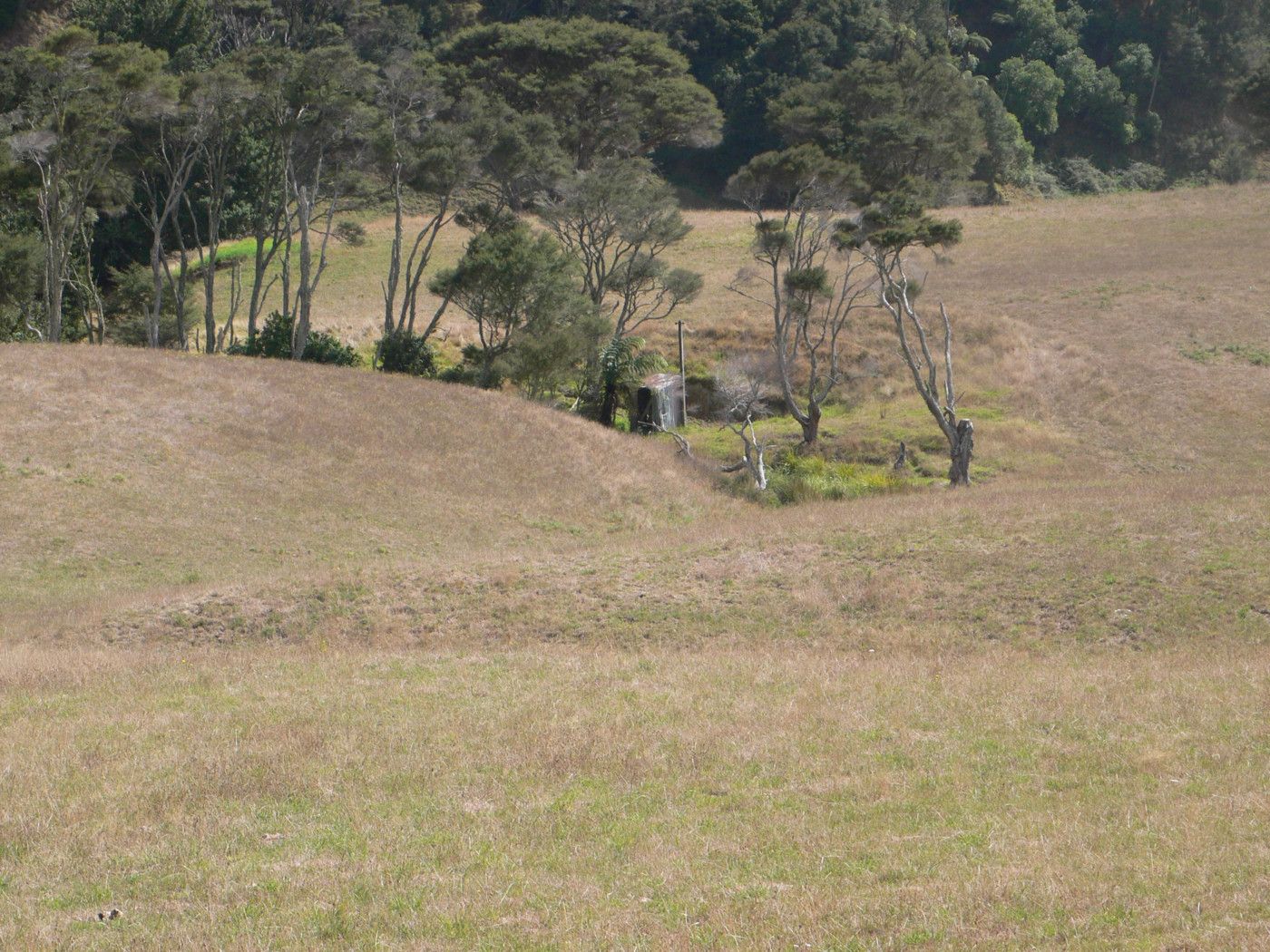 Pukekawa, Waikato District
