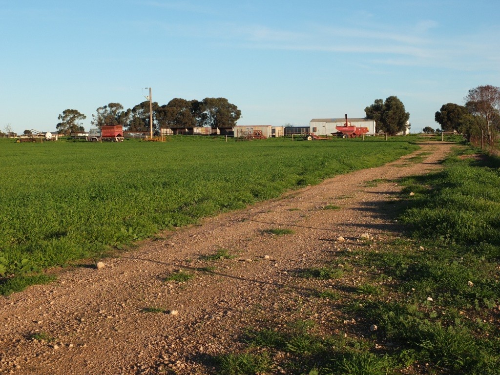 734 Ellis Road, WALLAROO, SA 5556