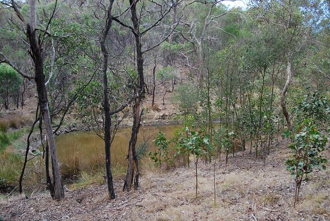 CA 38 D Clarkes Road, ANAKIE, VIC 3221