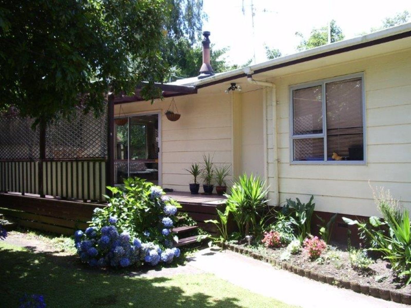17 Exeter Street, GLENVIEW, Hamilton City