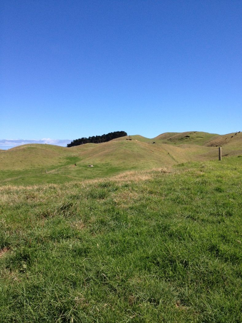 WAIUKU, Franklin