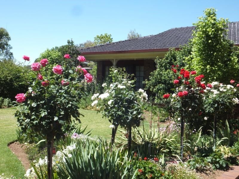 45 Bathurst Street, FORBES, NSW 2871
