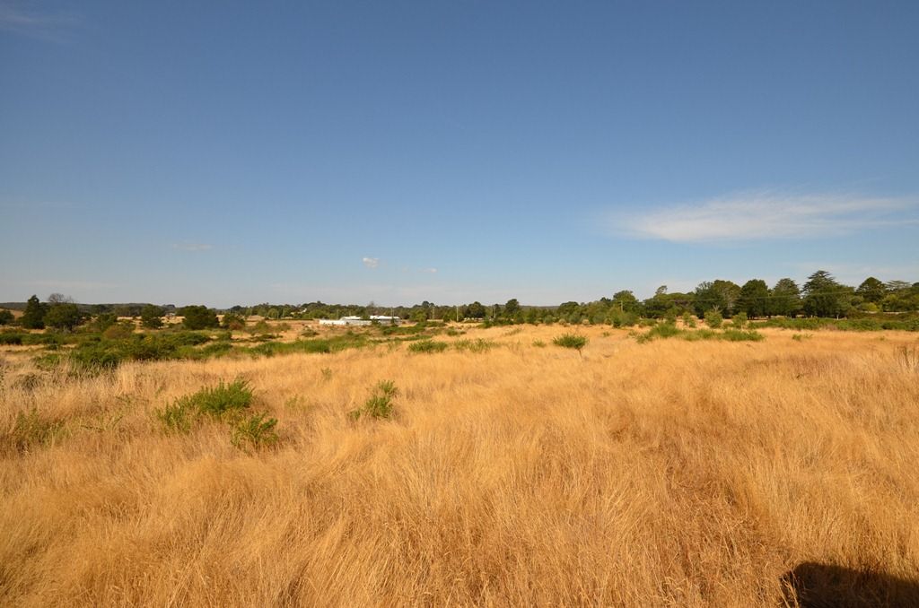 Lot 1 Burgoyne Street, SCARSDALE, VIC 3351