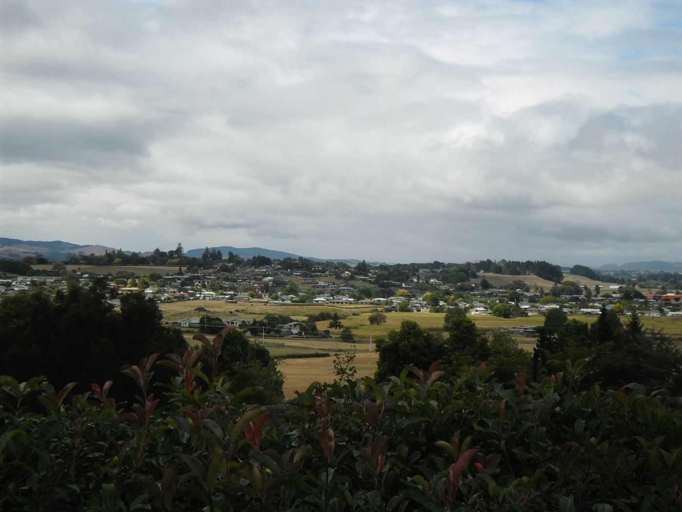 121 Greenhill Drive, Te Awamutu, Waipa District