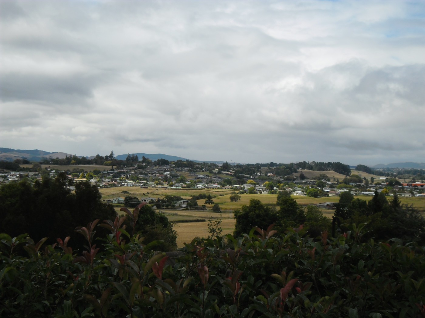 121 Greenhill Drive, Te Awamutu, Waipa District
