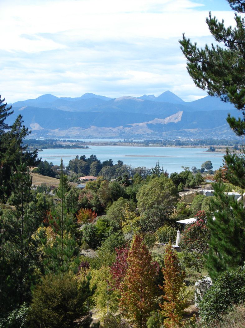 MAPUA, Tasman District