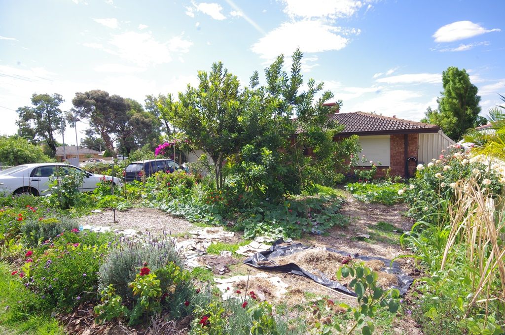 20 Redunca Way, MIRRABOOKA, WA 6061
