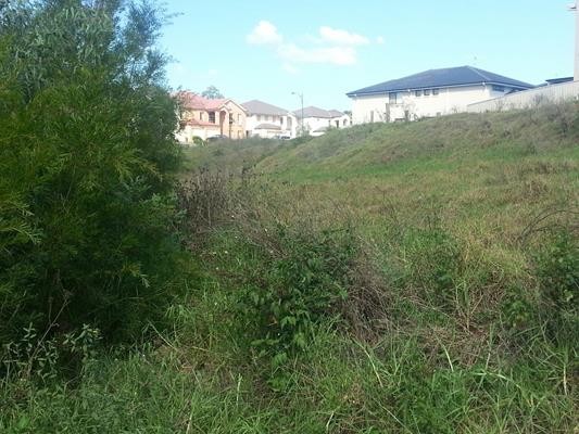 99 Chepstow Drive, CASTLE HILL, NSW 2154