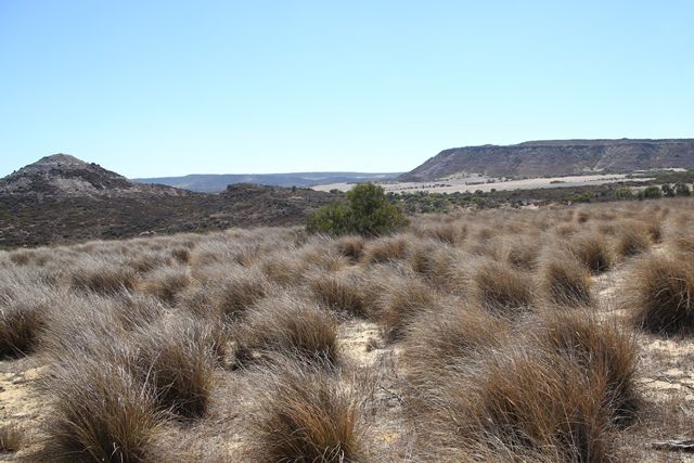 Lot 276 Pitchford Crest, WHITE PEAK, WA 6532