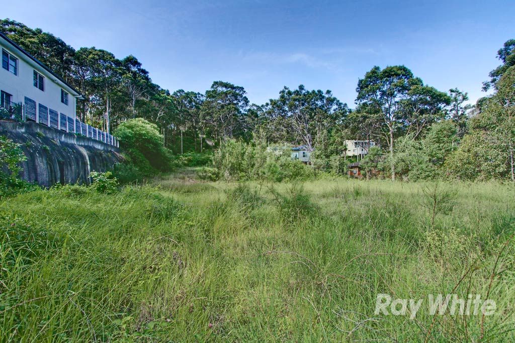 COAL POINT, NSW 2283