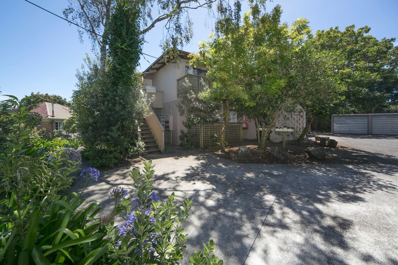 Sweetheart Starter - Mount Albert