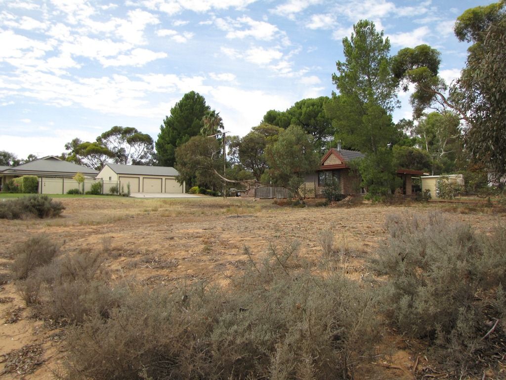 3A Fairway Avenue, BARMERA, SA 5345