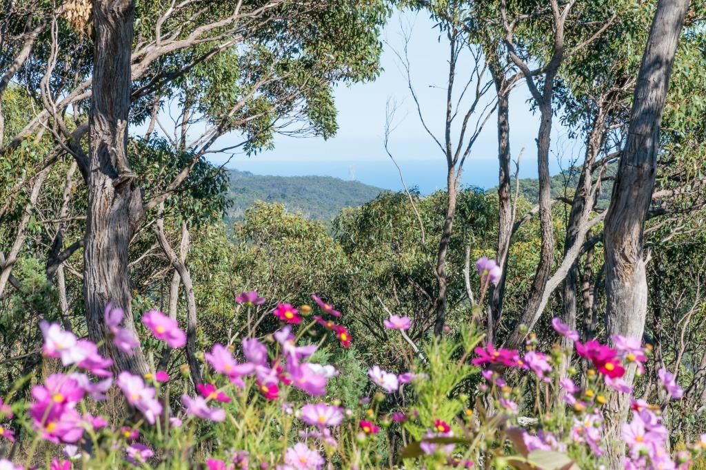 32 Walker Avenue, HEATHFIELD, SA 5153