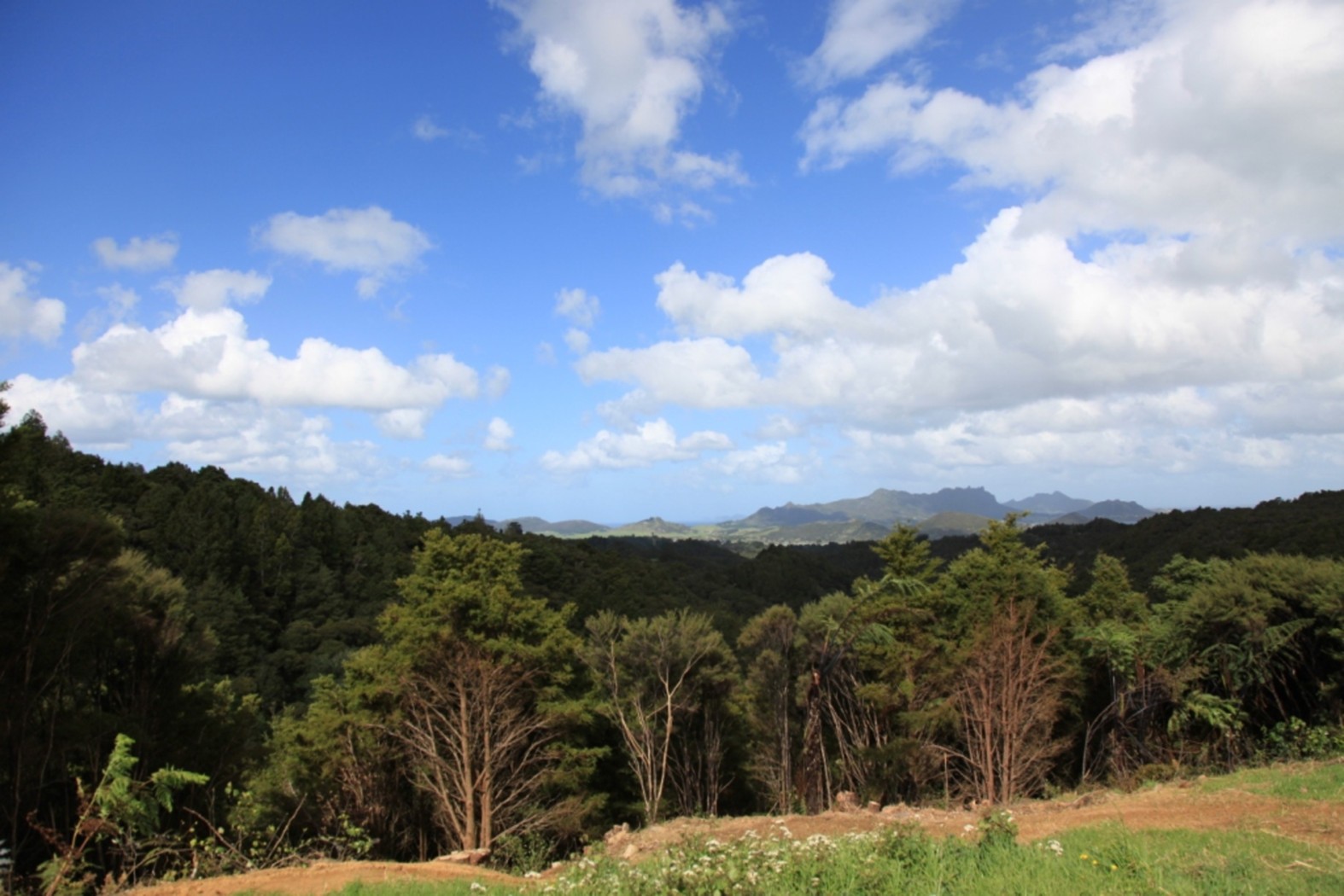 139 Kohinui Road, PARUA BAY, Whangarei District