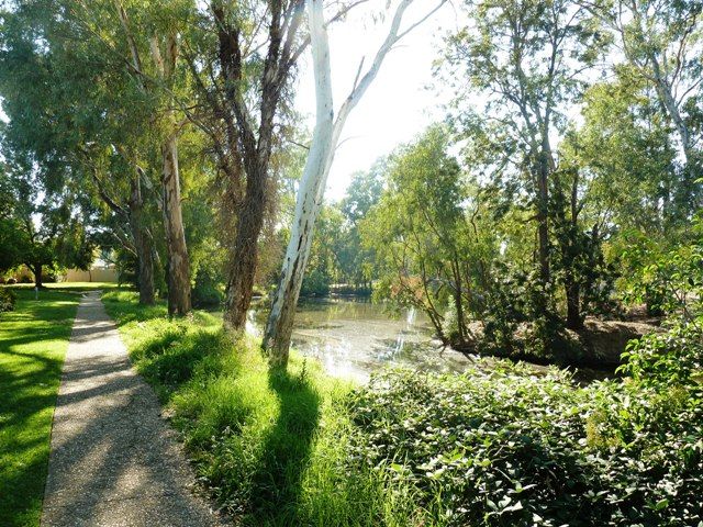 19/185 Forsyth Street, WAGGA WAGGA, NSW 2650