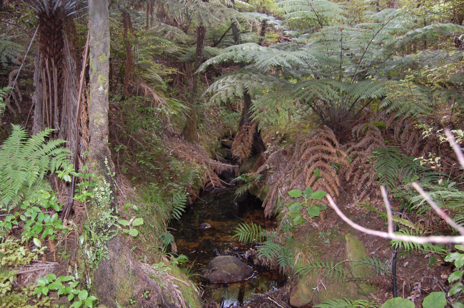 338 Blind Bay Road, Great Barrier Island, Great Barrier Island