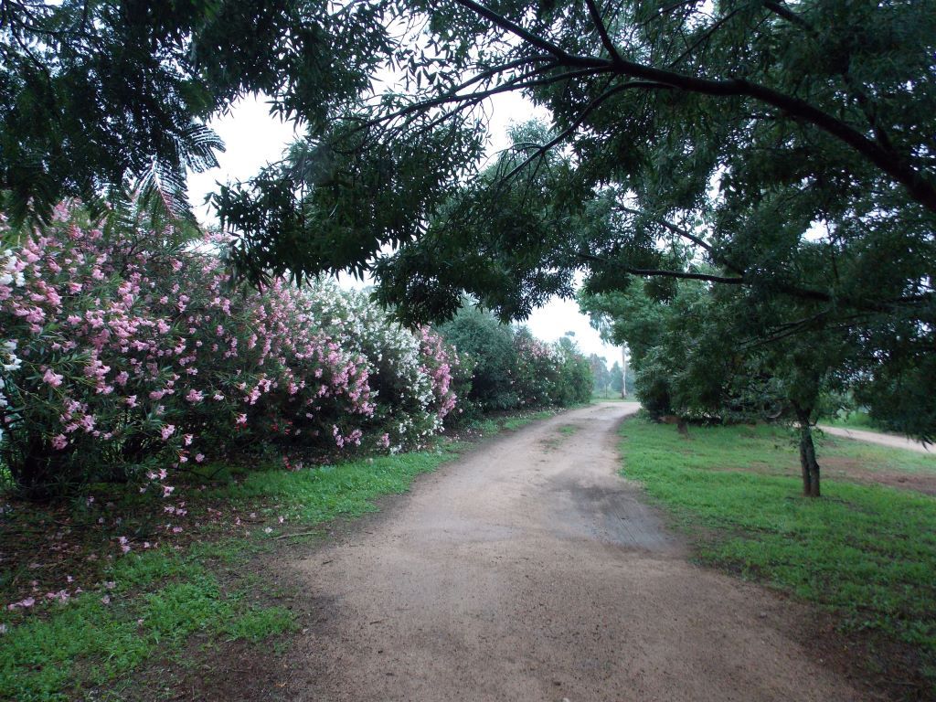 "Wind Rush" 92-96 Peak Hill Road, PARKES, NSW 2870