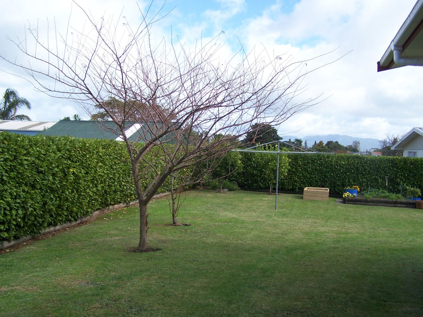 85 Loomb Place, TE AWAMUTU, Waipa District