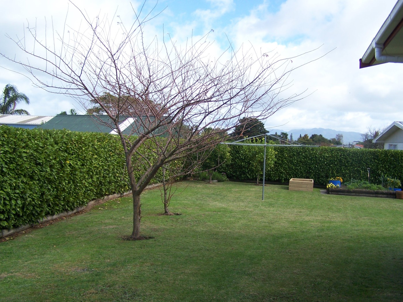 85 Loomb Place, TE AWAMUTU, Waipa District