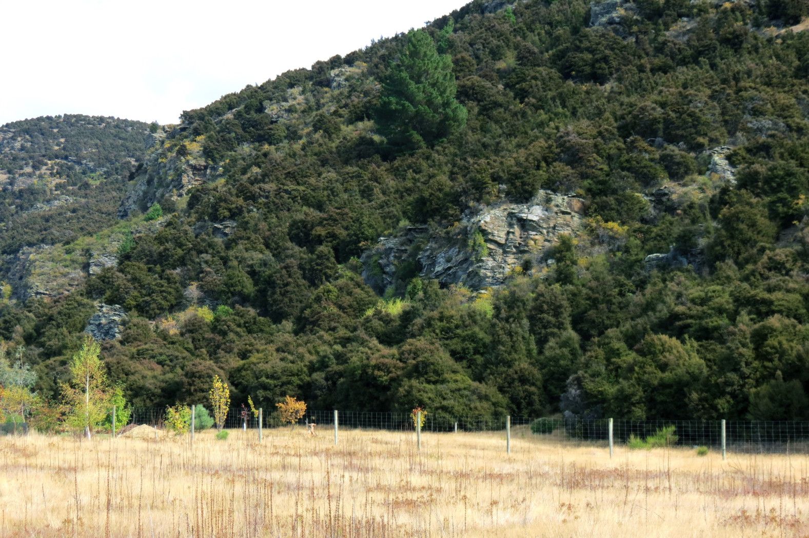 971 Aubrey Road (Lot 3), WANAKA, Queenstown Lakes District